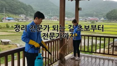 정리 전문가 되는 길: 초보부터 전문가까지